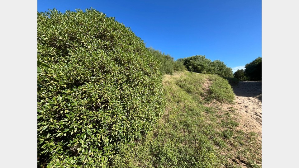 Lote Lote frente al mar