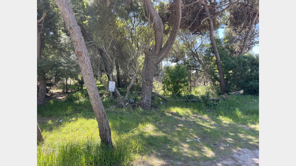 Lote Lote Unifamiliar (Apto 2 viviendas)