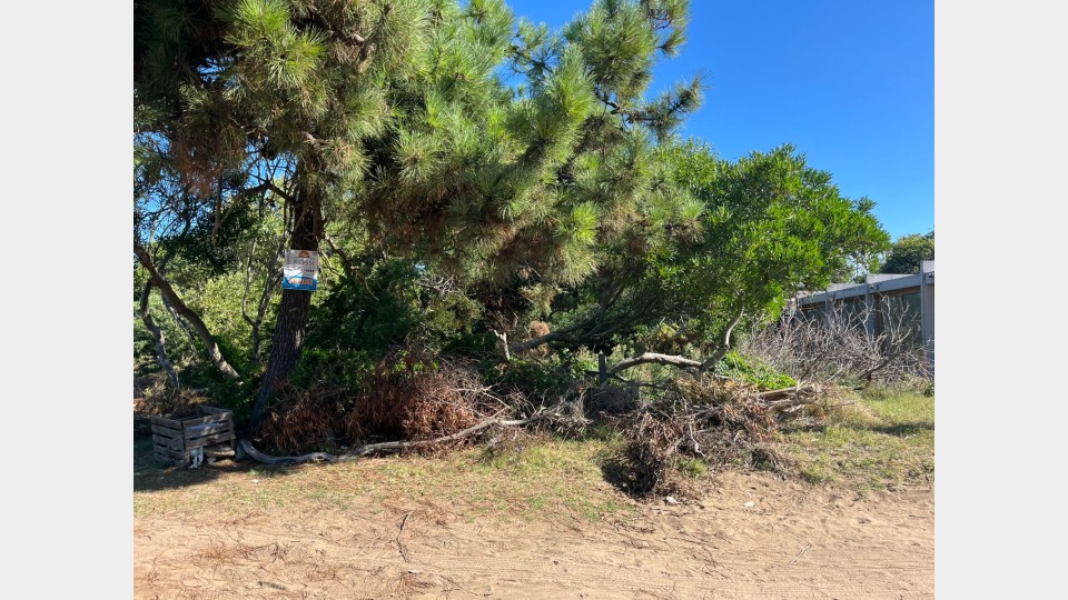 Lote Lote Unifamiliar (Apto 2 viviendas)