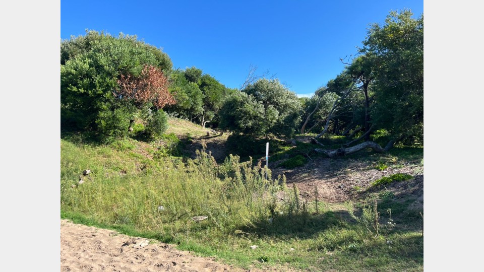 Lote Lote Unifamiliar (Apto 2 viviendas)